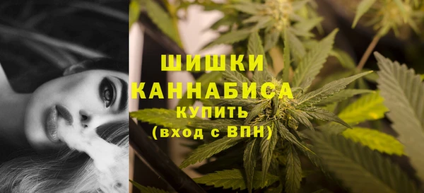 ПСИЛОЦИБИНОВЫЕ ГРИБЫ Переславль-Залесский