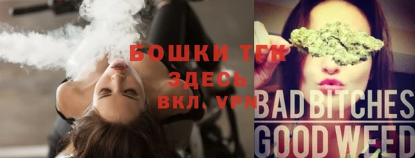ПСИЛОЦИБИНОВЫЕ ГРИБЫ Переславль-Залесский
