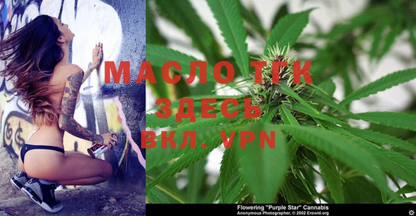 дурь Бородино