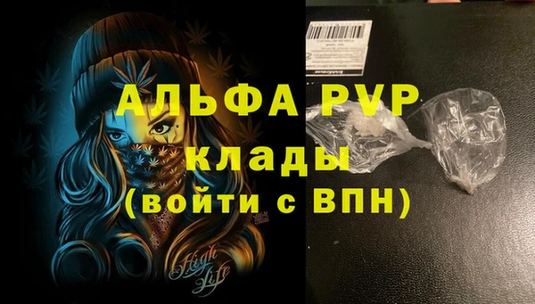 мяу мяу мука Пересвет