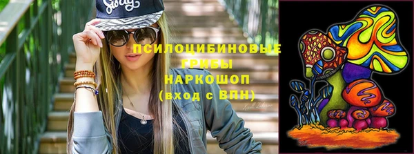 дурь Бородино