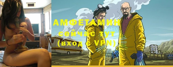 дурь Бородино