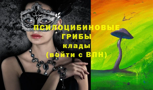 дурь Бородино